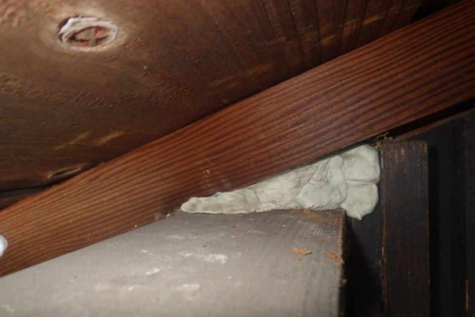 スズメバチ駆除の画像