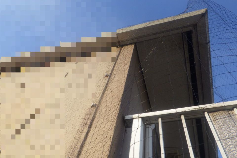 バードネット設置の画像